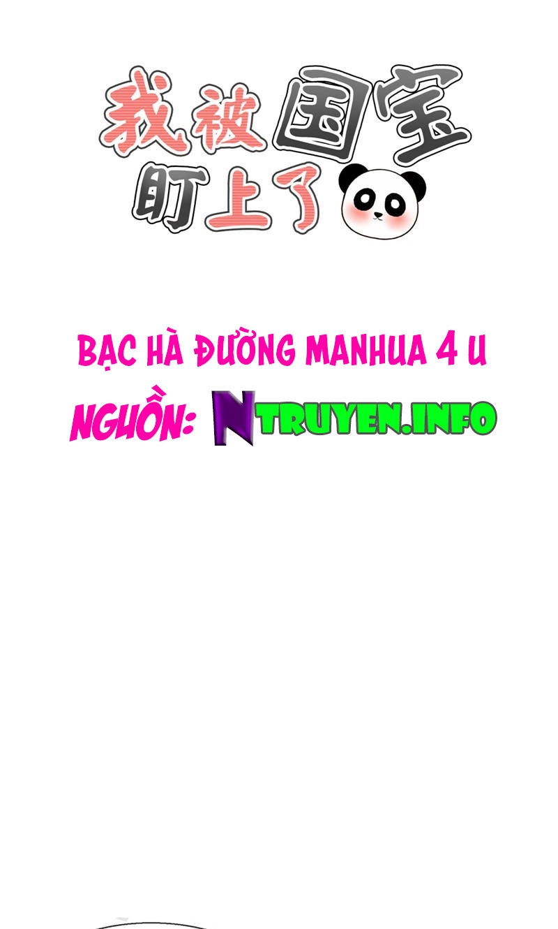 Tôi Bị Gấu Trúc Nhìn Trúng Rồi Chapter 17 - 1