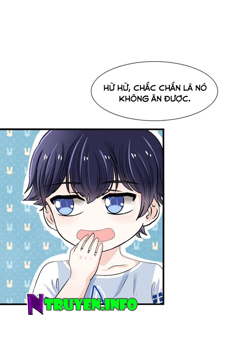 Tôi Bị Gấu Trúc Nhìn Trúng Rồi Chapter 17 - 13