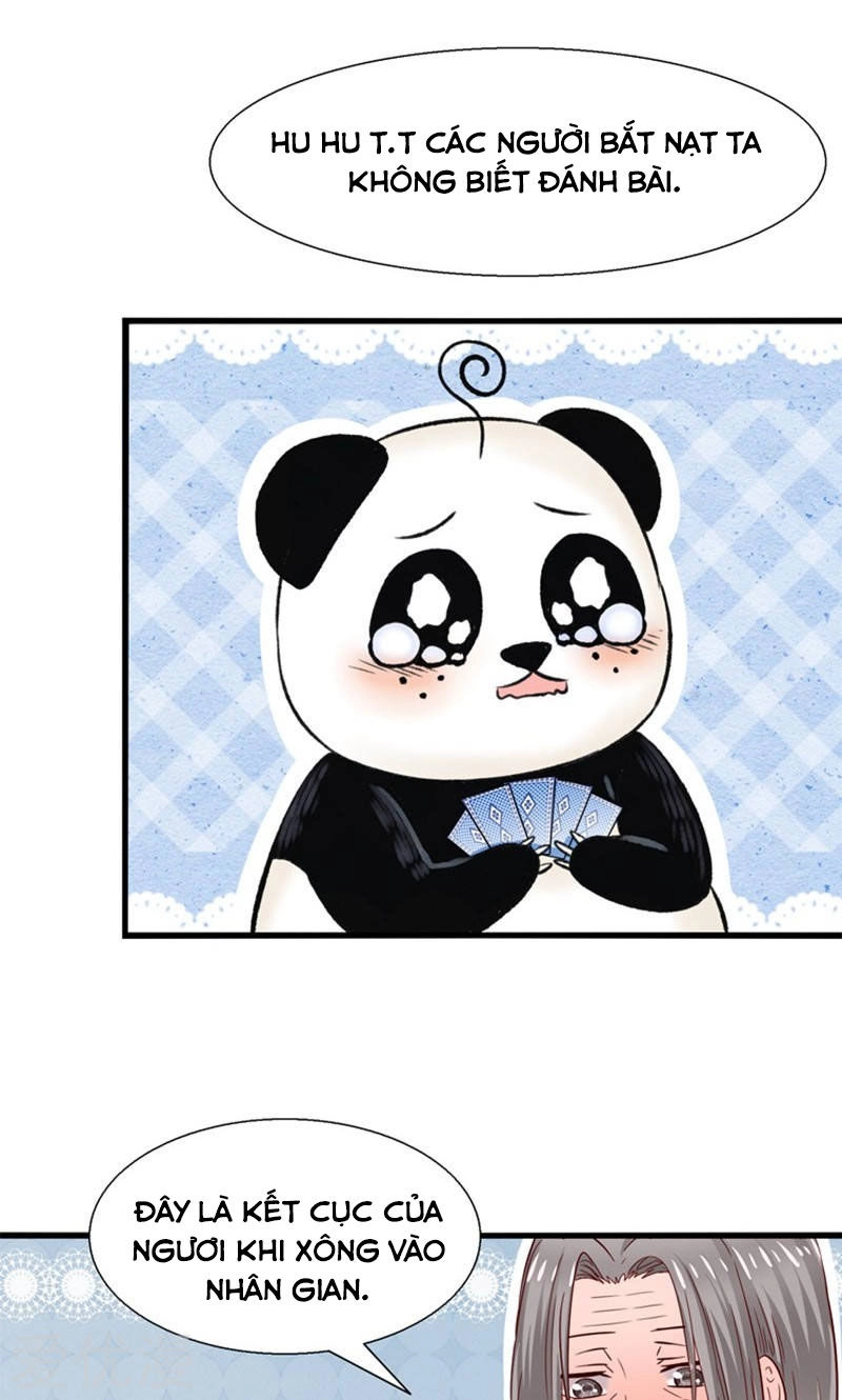 Tôi Bị Gấu Trúc Nhìn Trúng Rồi Chapter 17 - 14