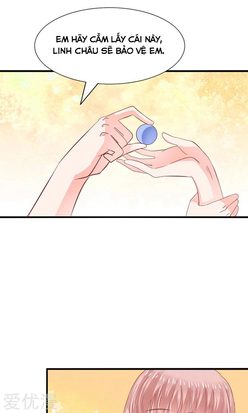 Tôi Bị Gấu Trúc Nhìn Trúng Rồi Chapter 17 - 24