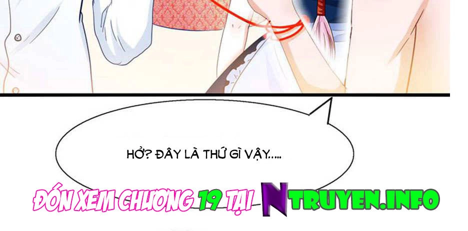 Tôi Bị Gấu Trúc Nhìn Trúng Rồi Chapter 18 - 43