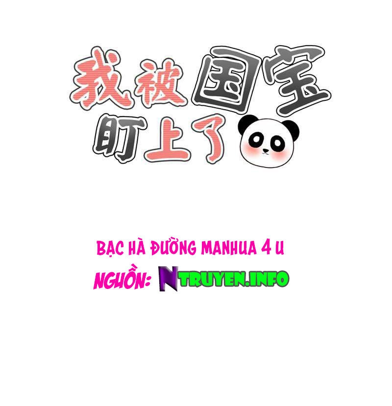 Tôi Bị Gấu Trúc Nhìn Trúng Rồi Chapter 20 - 1