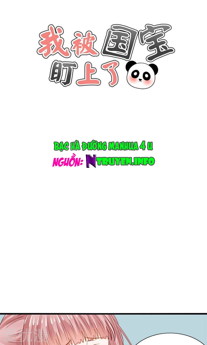 Tôi Bị Gấu Trúc Nhìn Trúng Rồi Chapter 21 - 1