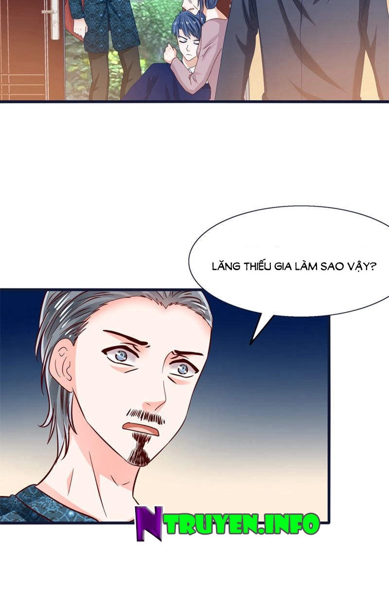 Tôi Bị Gấu Trúc Nhìn Trúng Rồi Chapter 21 - 28