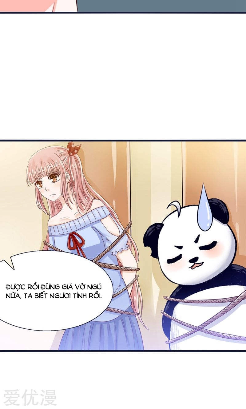 Tôi Bị Gấu Trúc Nhìn Trúng Rồi Chapter 21 - 37