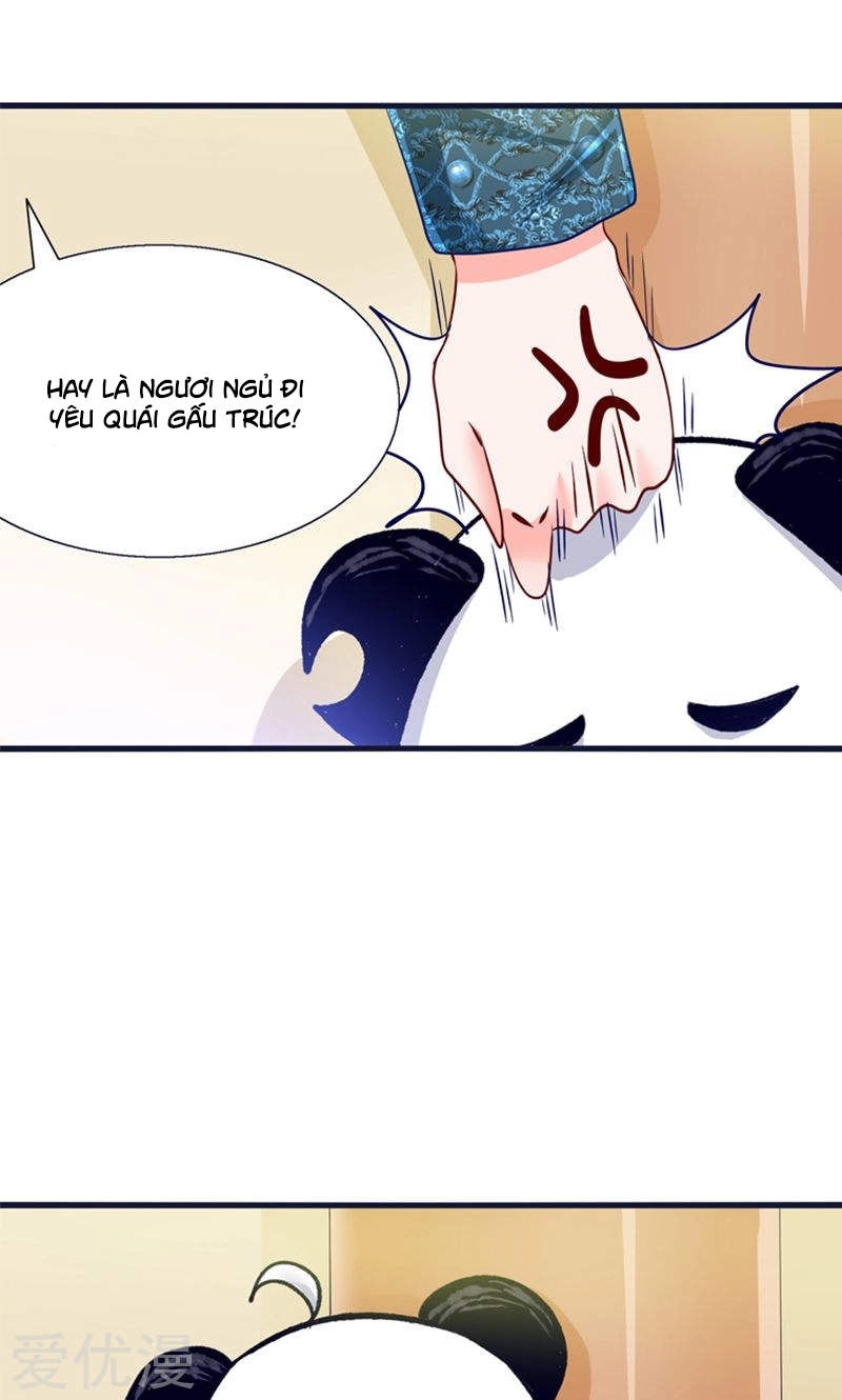 Tôi Bị Gấu Trúc Nhìn Trúng Rồi Chapter 21 - 39