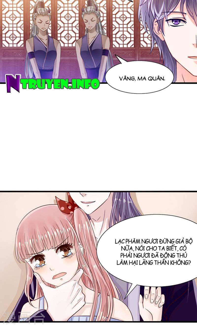 Tôi Bị Gấu Trúc Nhìn Trúng Rồi Chapter 22 - 28