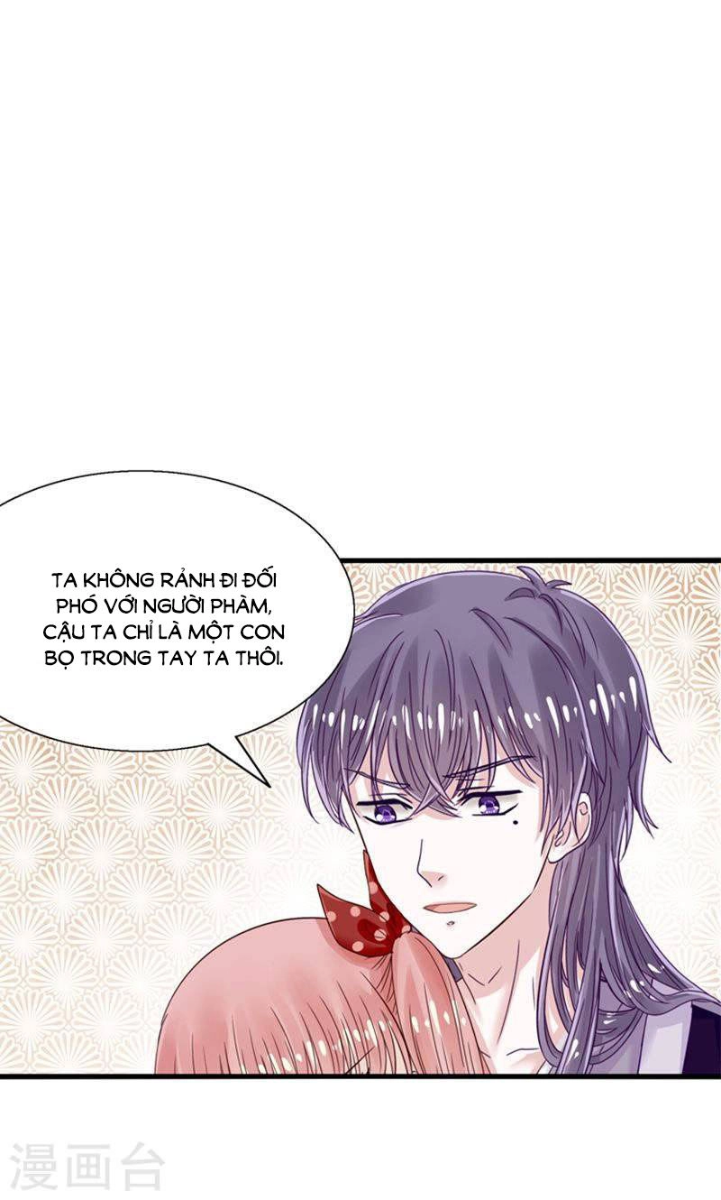 Tôi Bị Gấu Trúc Nhìn Trúng Rồi Chapter 22 - 29