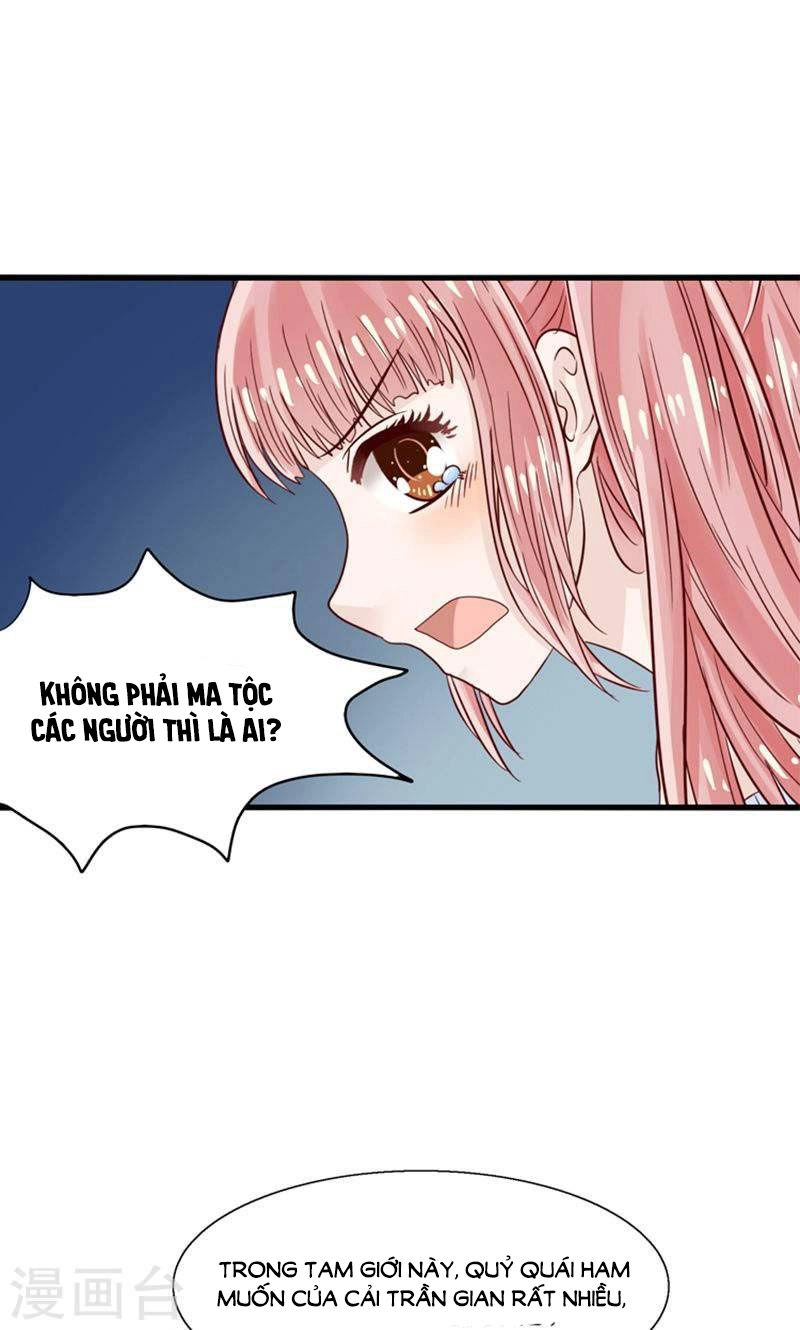 Tôi Bị Gấu Trúc Nhìn Trúng Rồi Chapter 22 - 30