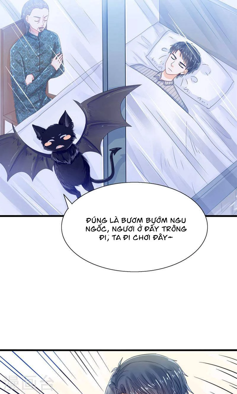 Tôi Bị Gấu Trúc Nhìn Trúng Rồi Chapter 22 - 40