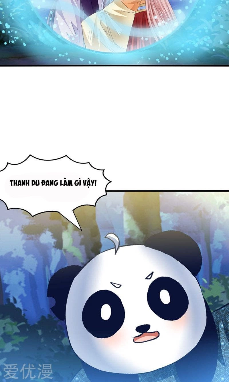 Tôi Bị Gấu Trúc Nhìn Trúng Rồi Chapter 24 - 27