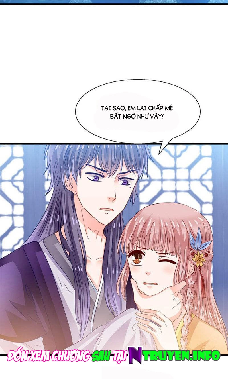 Tôi Bị Gấu Trúc Nhìn Trúng Rồi Chapter 24 - 28