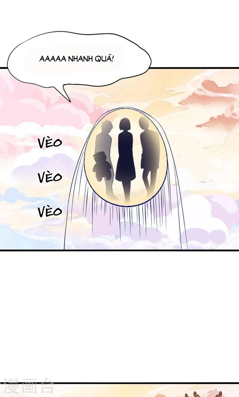 Tôi Bị Gấu Trúc Nhìn Trúng Rồi Chapter 25 - 14