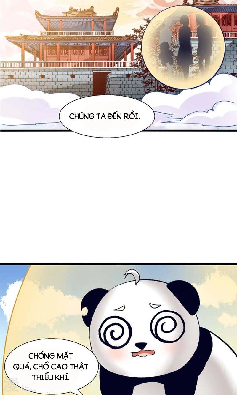 Tôi Bị Gấu Trúc Nhìn Trúng Rồi Chapter 25 - 15