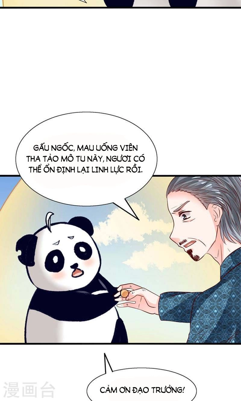 Tôi Bị Gấu Trúc Nhìn Trúng Rồi Chapter 25 - 16