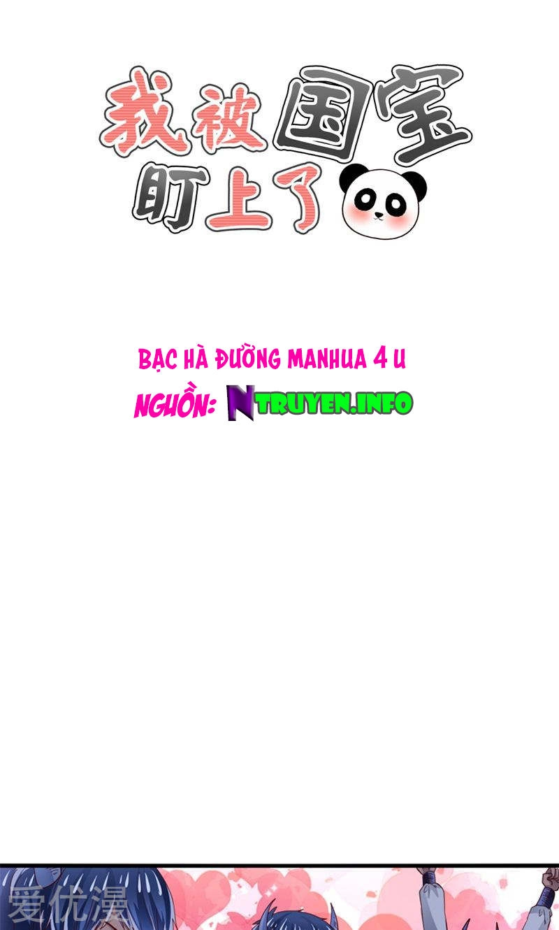 Tôi Bị Gấu Trúc Nhìn Trúng Rồi Chapter 26 - 1