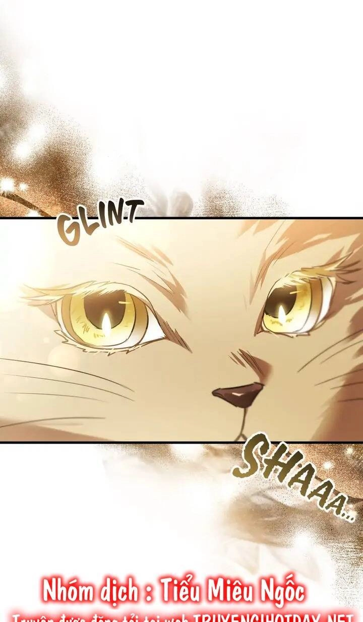 Một Đêm Không Bóng Chapter 54 - 35