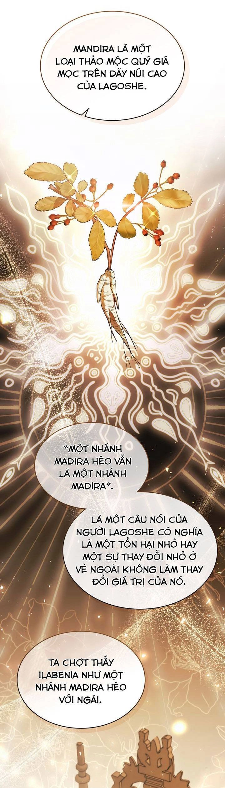 Một Đêm Không Bóng Chapter 62 - 18