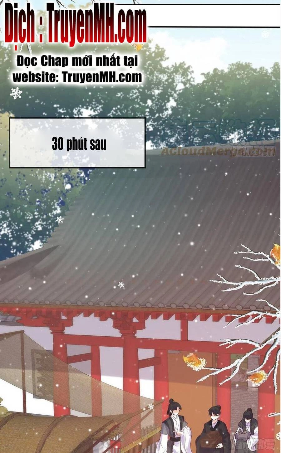 Kiều Mỵ Phu Lang, Tại Tuyến Lục Trà Chapter 120 - 19