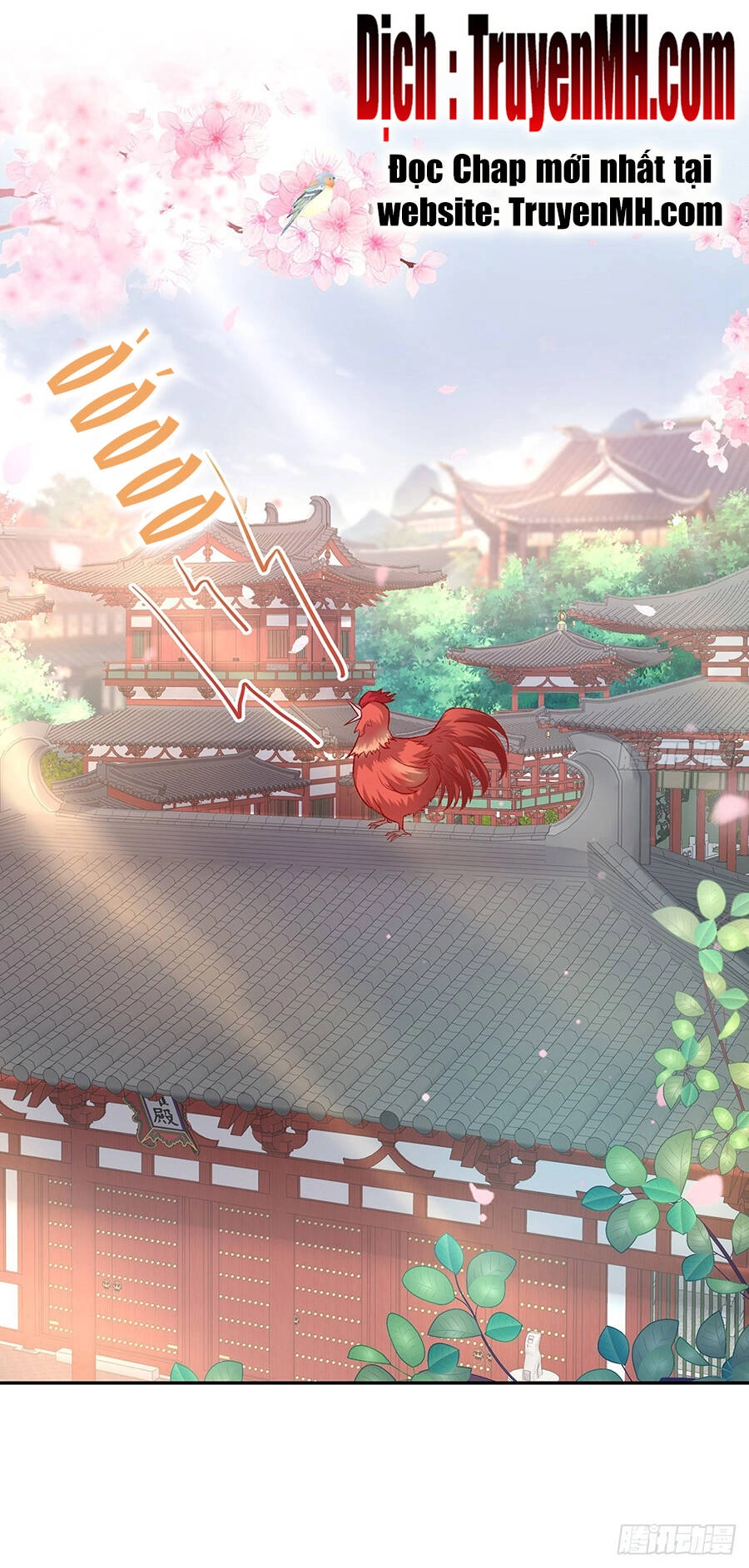 Kiều Mỵ Phu Lang, Tại Tuyến Lục Trà Chapter 40 - 2