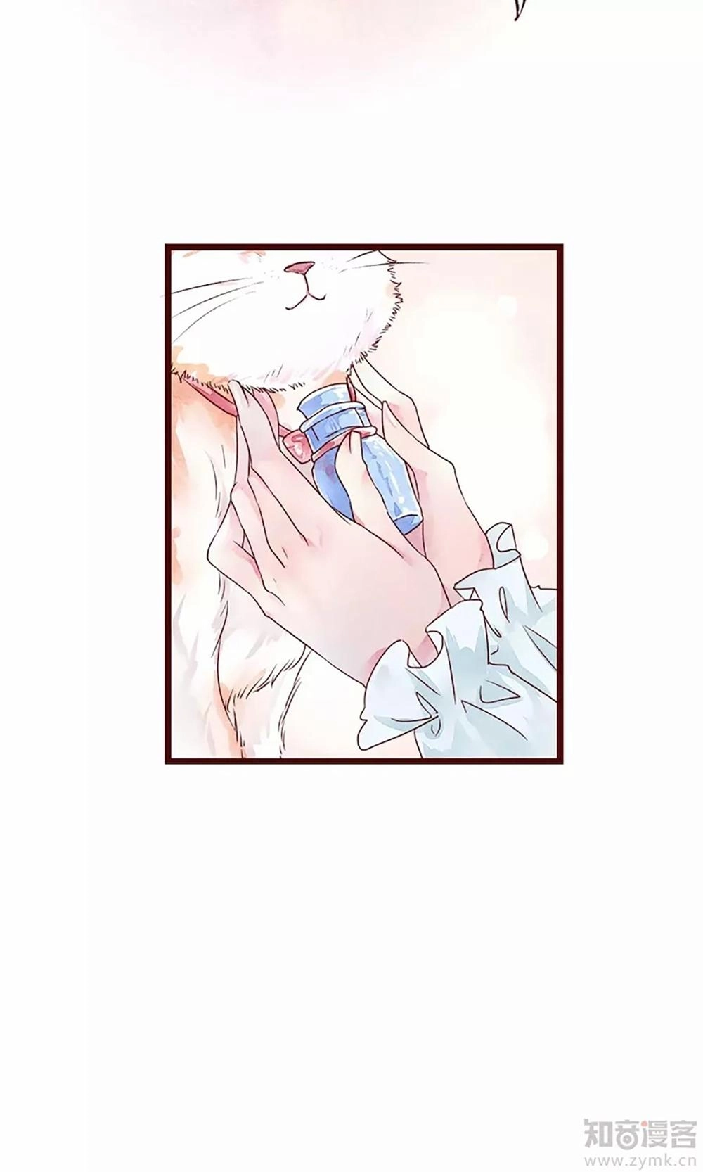 Đào Tạo Nuôi Dưỡng Bạn Trai Mèo Chapter 2 - 43