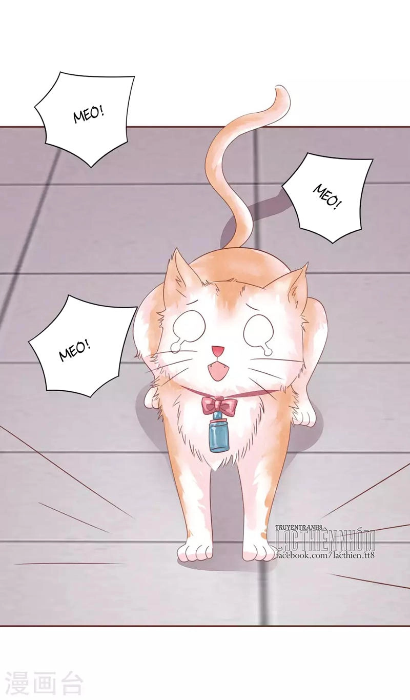 Đào Tạo Nuôi Dưỡng Bạn Trai Mèo Chapter 48 - 5