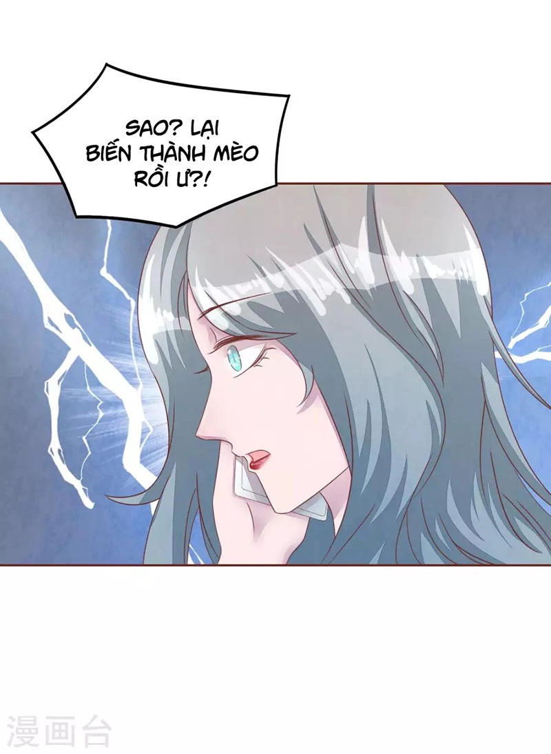 Đào Tạo Nuôi Dưỡng Bạn Trai Mèo Chapter 48 - 31