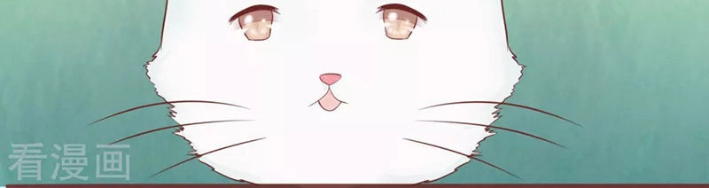 Đào Tạo Nuôi Dưỡng Bạn Trai Mèo Chapter 56 - 6