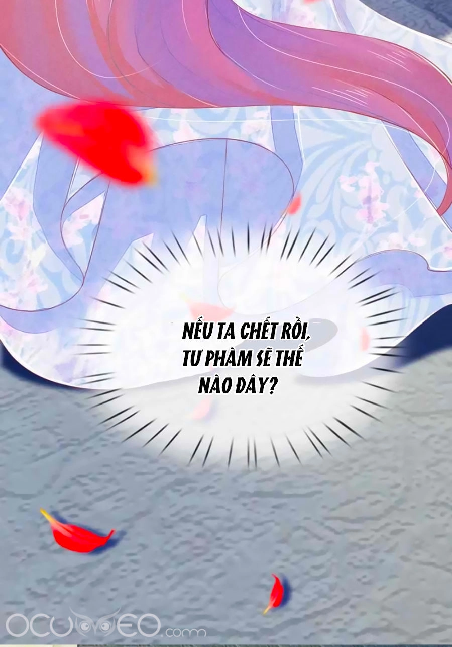 Sủng Phi Bất Lương: Vương Gia Phúc Hắc Chạy Đi Đâu Chapter 4 - 12