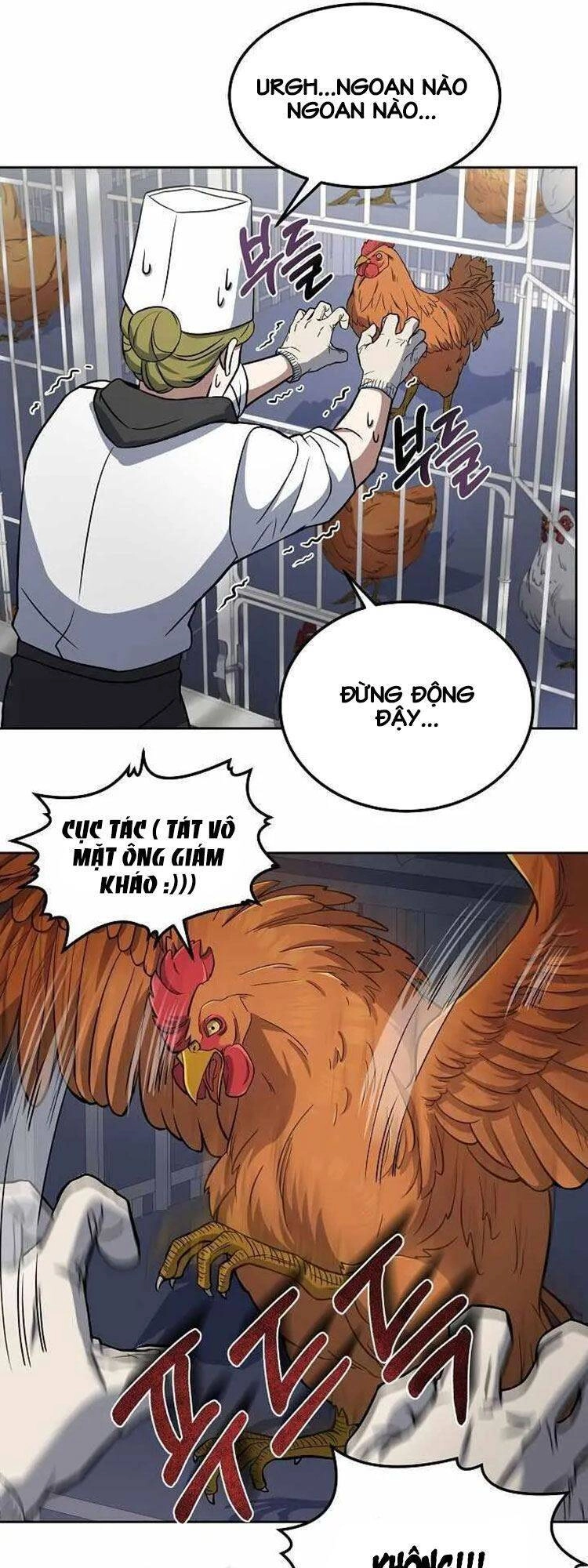 Đầu Bếp Trẻ Nhất Tới Từ Khách Sạn Hạng Ba Chapter 21 - 10