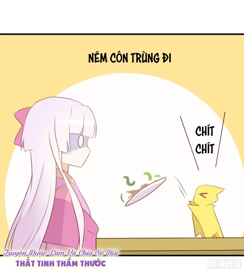 Hôm Nay Ta Cũng Muốn Trêu Chọc Nàng Chapter 31 - 36