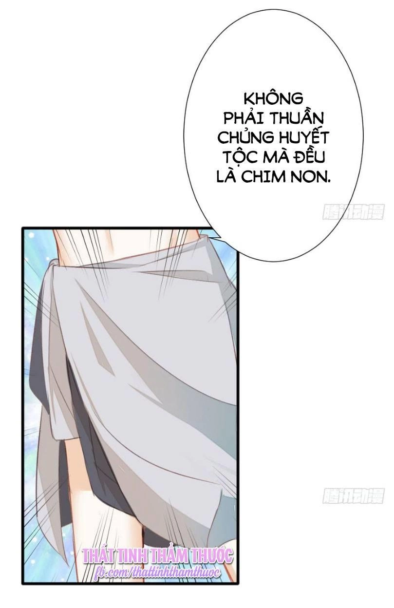 Hôm Nay Ta Cũng Muốn Trêu Chọc Nàng Chapter 75 - 8