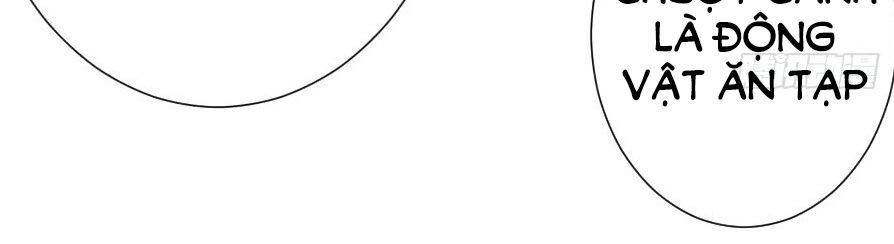 Hôm Nay Ta Cũng Muốn Trêu Chọc Nàng Chapter 82 - 47