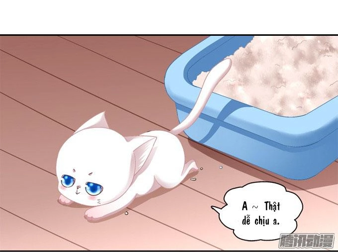 Dụ Hoặc Miêu Yêu Chapter 2 - 2