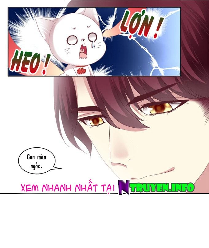 Dụ Hoặc Miêu Yêu Chapter 2 - 8