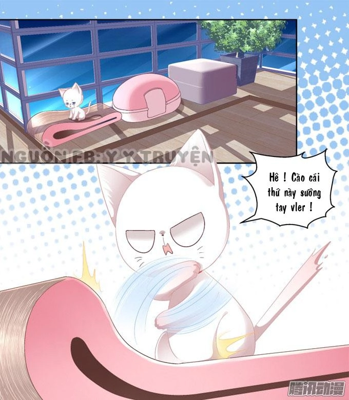 Dụ Hoặc Miêu Yêu Chapter 2 - 10