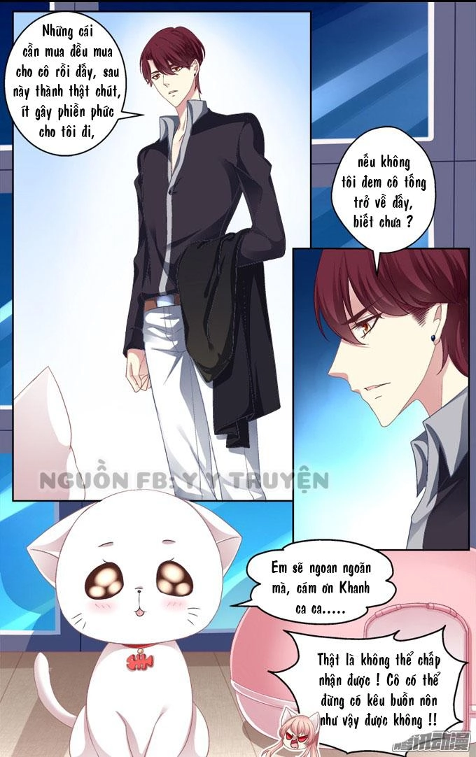 Dụ Hoặc Miêu Yêu Chapter 2 - 11