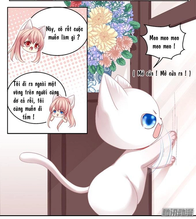 Dụ Hoặc Miêu Yêu Chapter 2 - 16