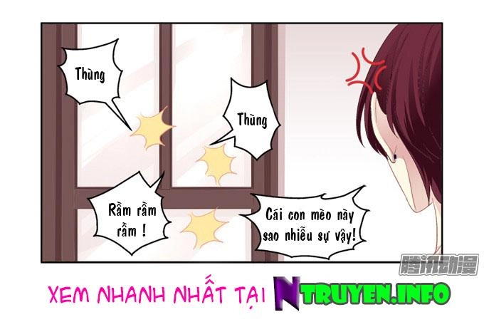 Dụ Hoặc Miêu Yêu Chapter 2 - 18