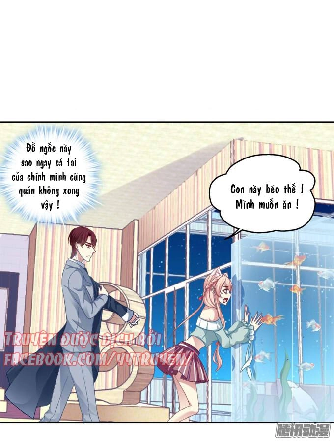 Dụ Hoặc Miêu Yêu Chapter 7 - 2