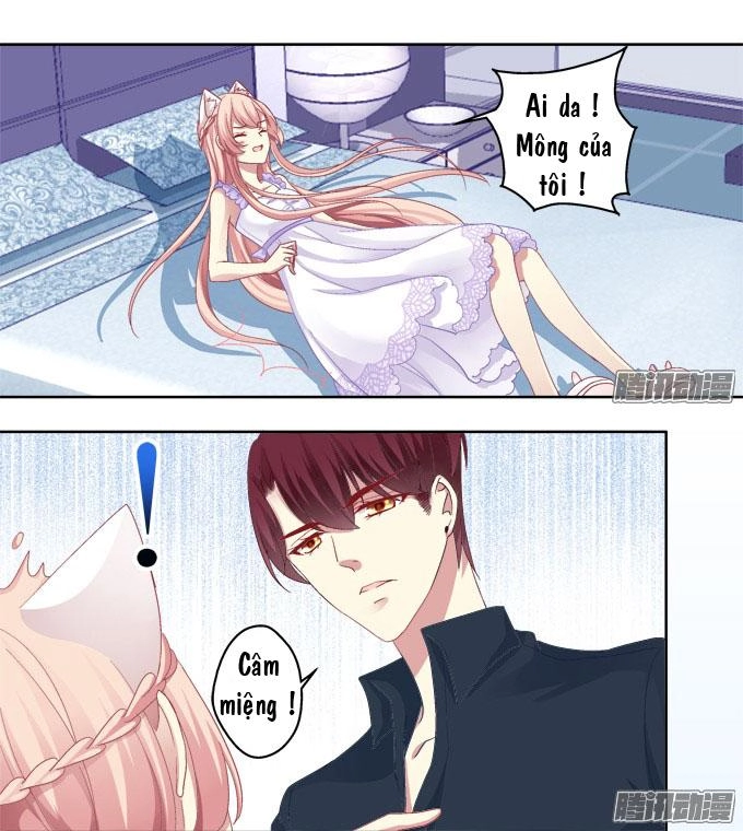Dụ Hoặc Miêu Yêu Chapter 16 - 8