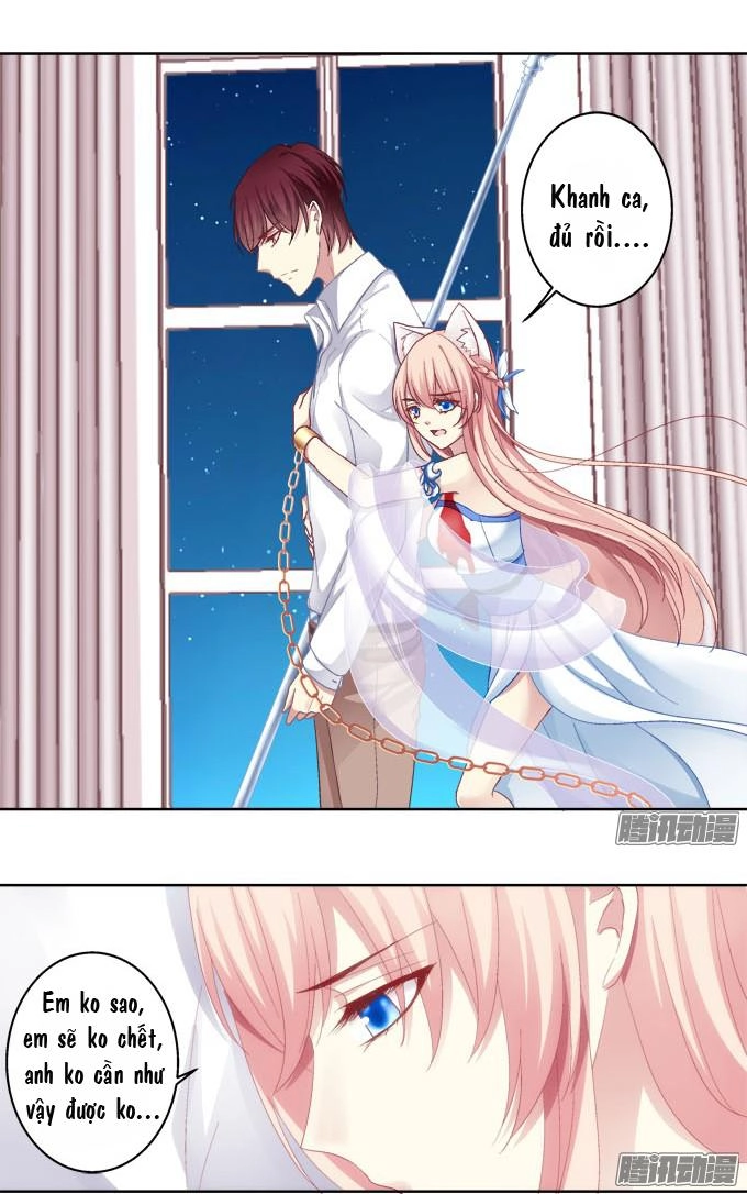 Dụ Hoặc Miêu Yêu Chapter 25 - 29