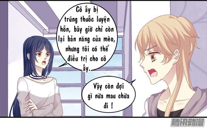Dụ Hoặc Miêu Yêu Chapter 42 - 28