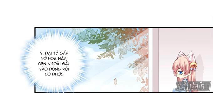 Dụ Hoặc Miêu Yêu Chapter 45 - 20