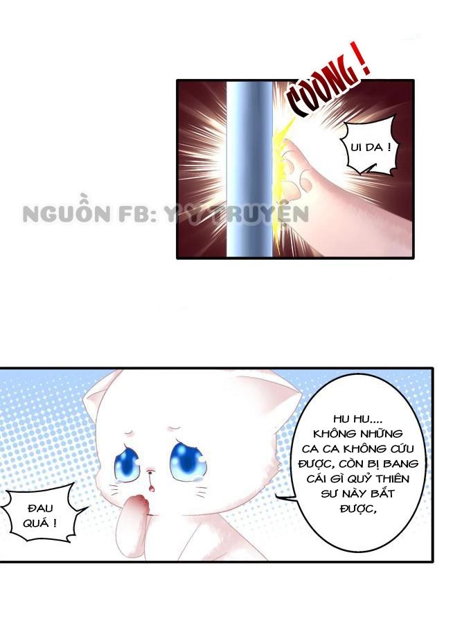 Dụ Hoặc Miêu Yêu Chapter 81 - 6