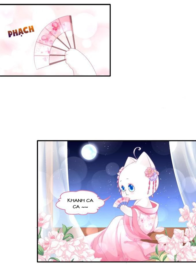 Dụ Hoặc Miêu Yêu Chapter 84 - 14