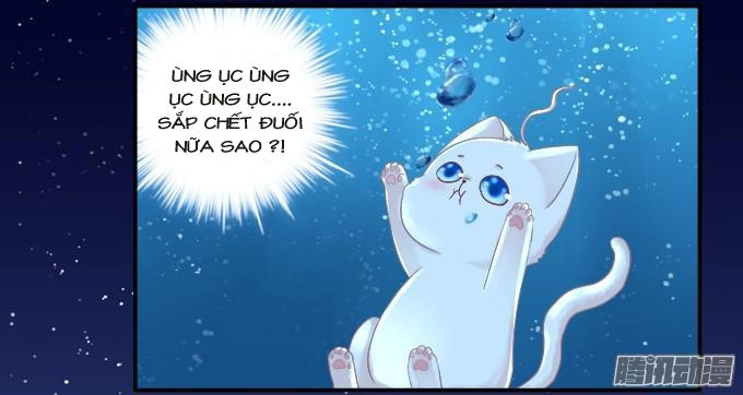 Dụ Hoặc Miêu Yêu Chapter 84 - 35