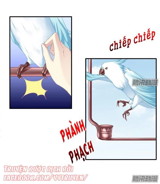 Dụ Hoặc Miêu Yêu Chapter 117 - 29