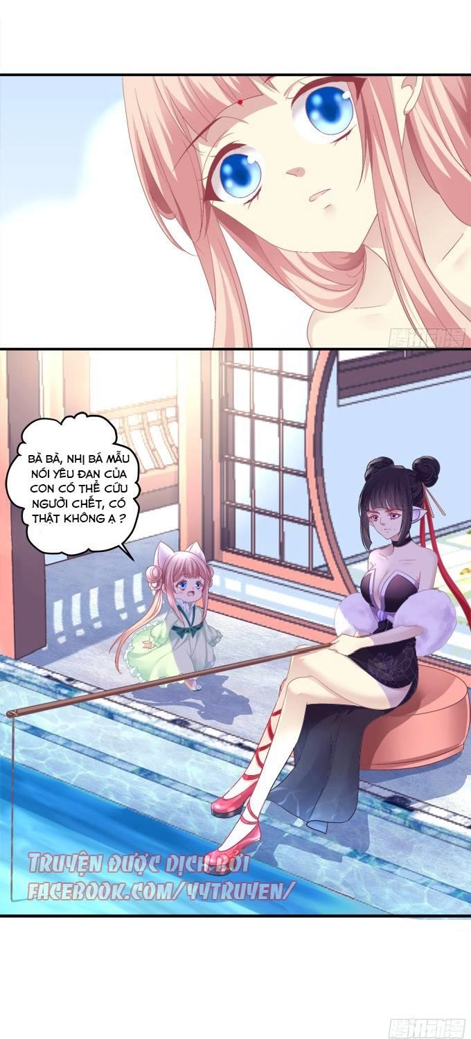 Dụ Hoặc Miêu Yêu Chapter 126 - 4