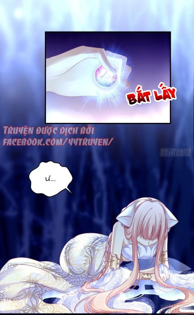 Dụ Hoặc Miêu Yêu Chapter 126 - 12